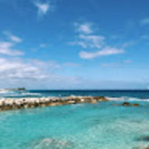 Meet your Posher, Kenzie